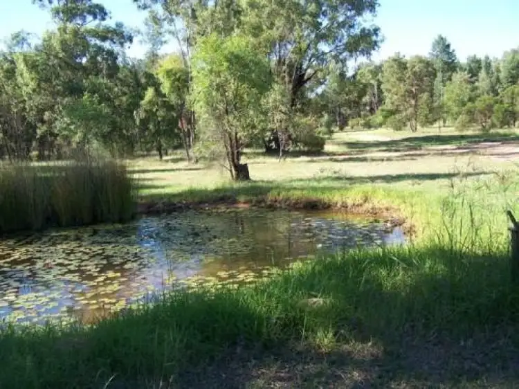 Seventh view of Homely rural property listing, MANDELSLOH 1506 Werah Creek Road, Wee Waa NSW 2388