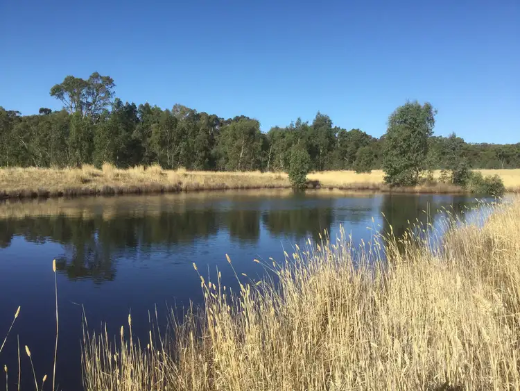 Main view of Homely rural property listing, 169 Ponderosa Road, Bealiba VIC 3475