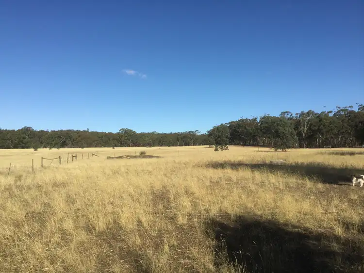 Second view of Homely rural property listing, 169 Ponderosa Road, Bealiba VIC 3475