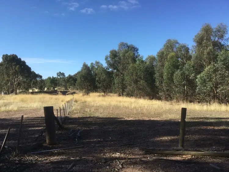 Third view of Homely rural property listing, 169 Ponderosa Road, Bealiba VIC 3475