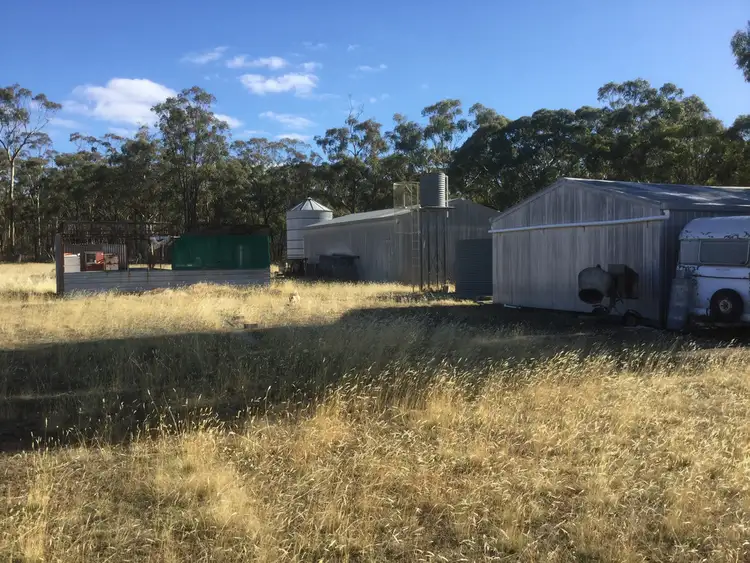 Fourth view of Homely rural property listing, 169 Ponderosa Road, Bealiba VIC 3475