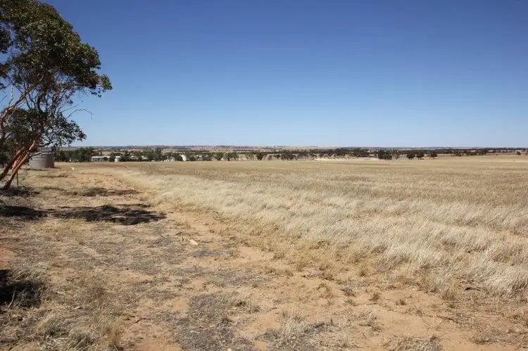 Third view of Homely rural property listing, 1050 Soldiers Road, Wadderin WA 6369