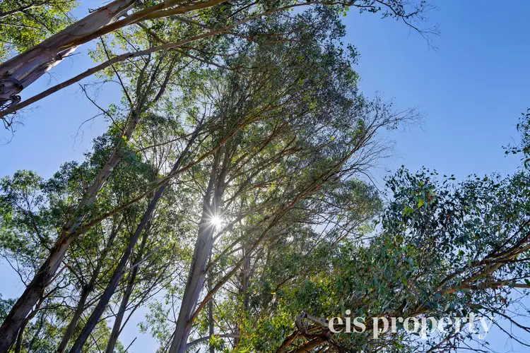 Second view of Homely land listing, 208 Morrisons Road, Huonville TAS 7109