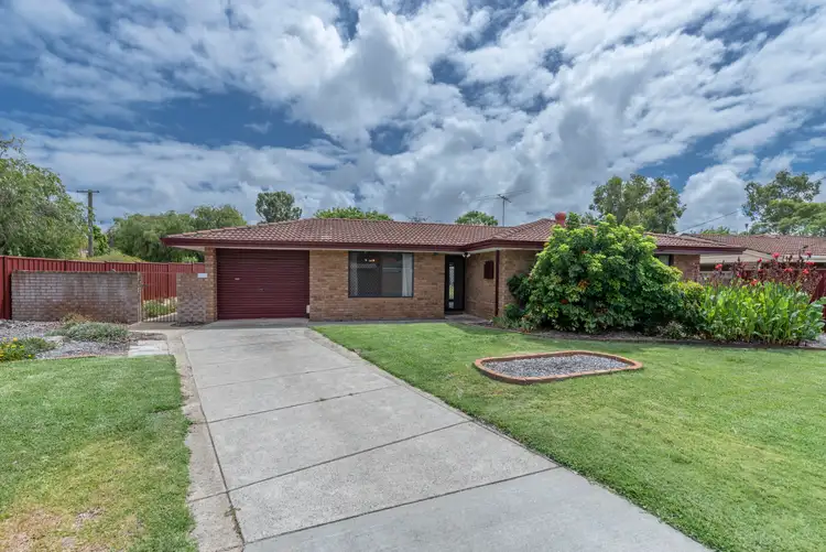 Main view of Homely house listing, 55 Williambury Drive, Yangebup WA 6164