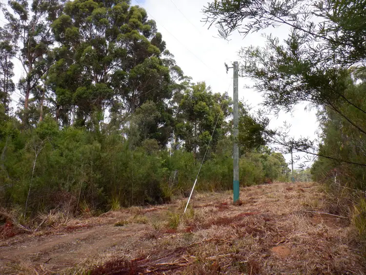 Third view of Homely rural property listing, Lot 13041 cnr Moore & Preston Roads, Boorara Brook WA 6262
