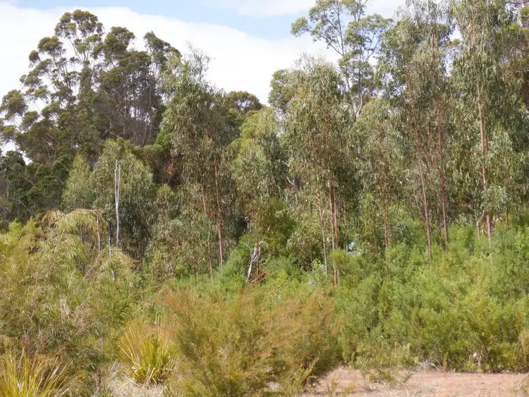Fourth view of Homely rural property listing, Lot 13041 cnr Moore & Preston Roads, Boorara Brook WA 6262