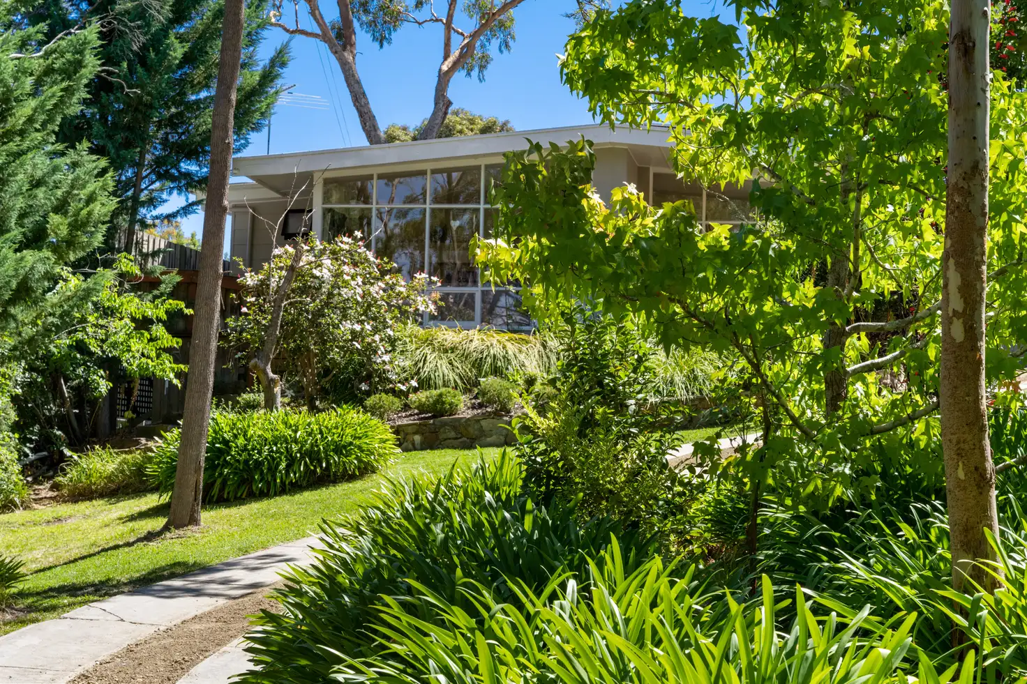 Main view of Homely house listing, 43 Sycamore Crescent, Hawthorndene SA 5051