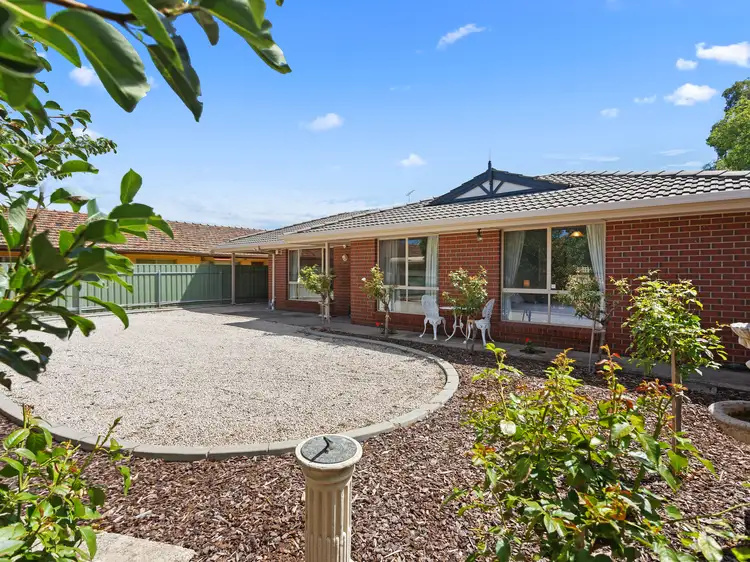2/11 Trafford Road