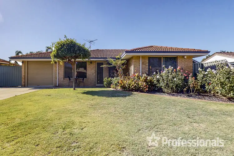 Main view of Homely house listing, 18 Flanders Place, Alexander Heights WA 6064