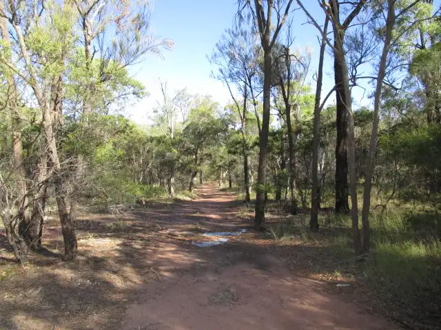 Sixth view of Homely rural property listing, 1913 BENNETT SCHOOL ROAD, Tara QLD 4421