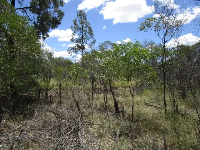 Second view of Homely rural property listing, LOT 99 MACHANESS ROAD, Tara QLD 4421