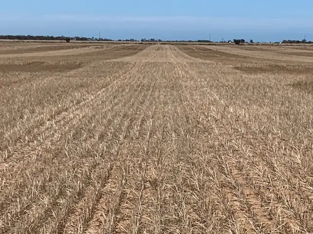 Third view of Homely rural property listing, Sec 65 & 66 Mallala/ Long Plains Roads, Dublin SA 5501
