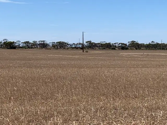 Sixth view of Homely rural property listing, Sec 65 & 66 Mallala/ Long Plains Roads, Dublin SA 5501