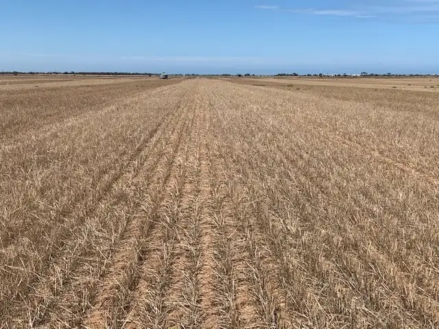 Seventh view of Homely rural property listing, Sec 65 & 66 Mallala/ Long Plains Roads, Dublin SA 5501