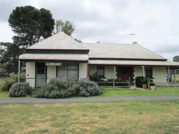 Main view of Homely house listing, 43 Railway Terrace, Peake SA 5301