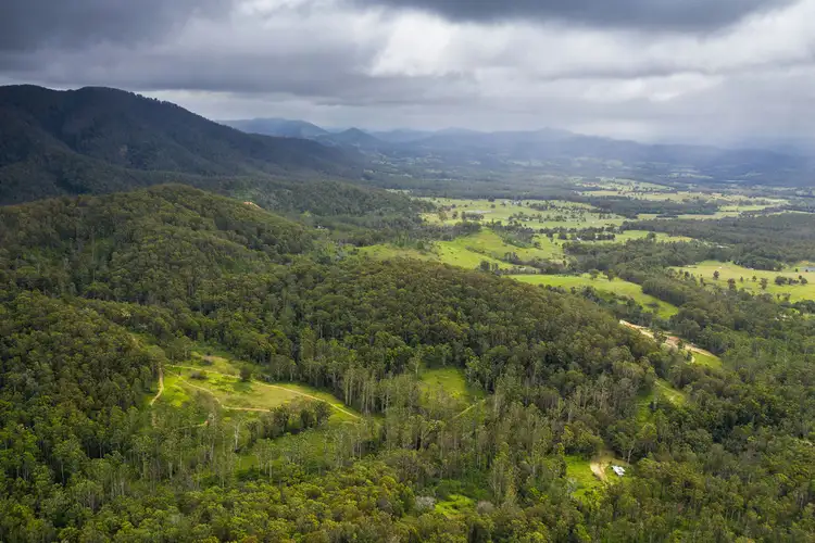 Second view of Homely rural property listing, 255 Careys Road, Hillville NSW 2430