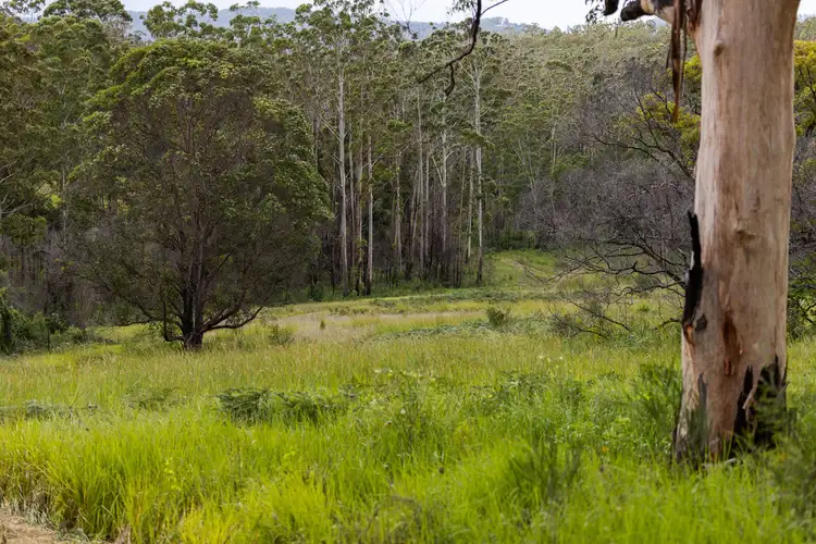 Fourth view of Homely rural property listing, 255 Careys Road, Hillville NSW 2430