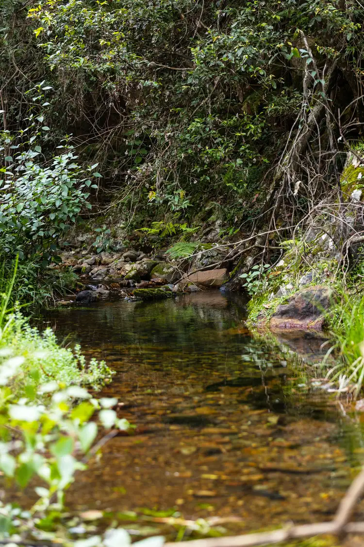 Fifth view of Homely rural property listing, 255 Careys Road, Hillville NSW 2430