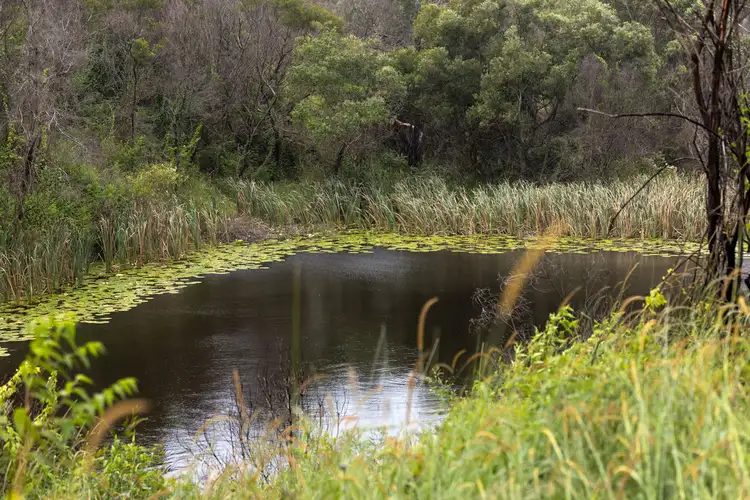 Sixth view of Homely rural property listing, 255 Careys Road, Hillville NSW 2430