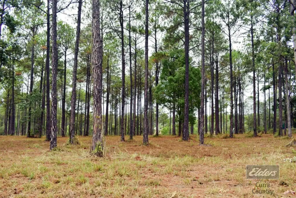 Main view of Homely land listing, Lot 184 Arborfive Road, Glenwood QLD 4570
