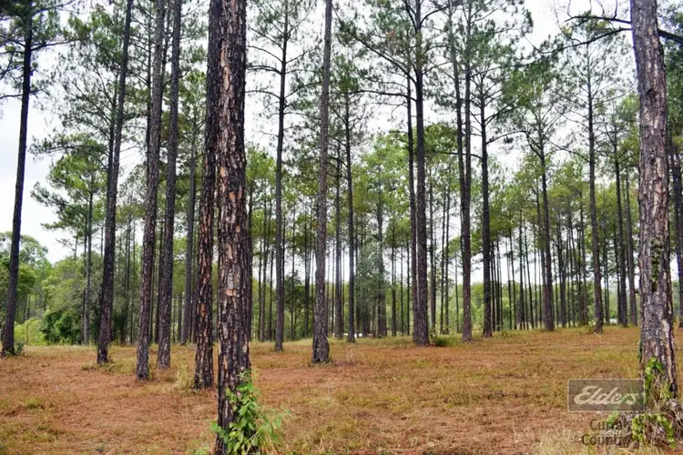 Second view of Homely land listing, Lot 185 Arborfive Road, Glenwood QLD 4570