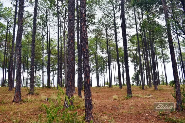 Third view of Homely land listing, Lot 185 Arborfive Road, Glenwood QLD 4570