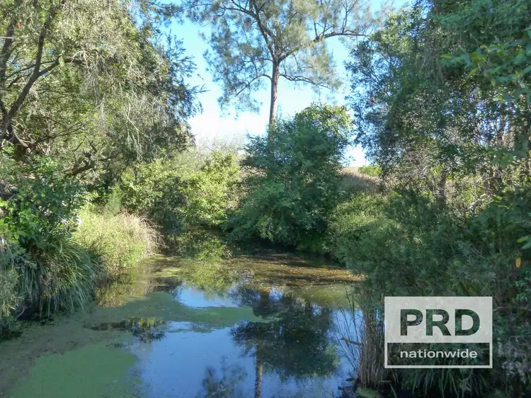 Main view of Homely rural property listing, 1411 Afterlee Road, Kyogle NSW 2474