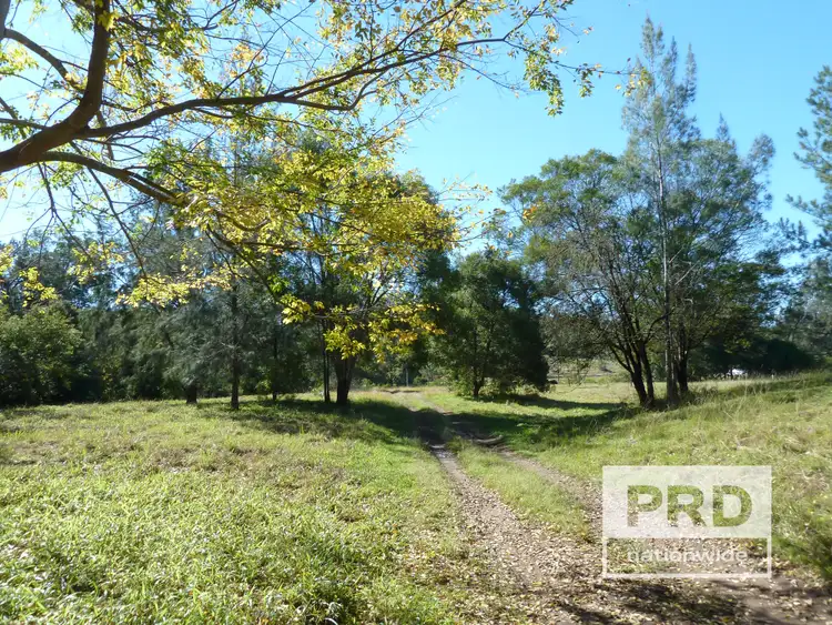 Second view of Homely rural property listing, 1411 Afterlee Road, Kyogle NSW 2474