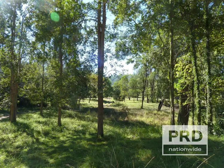 Third view of Homely rural property listing, 1411 Afterlee Road, Kyogle NSW 2474
