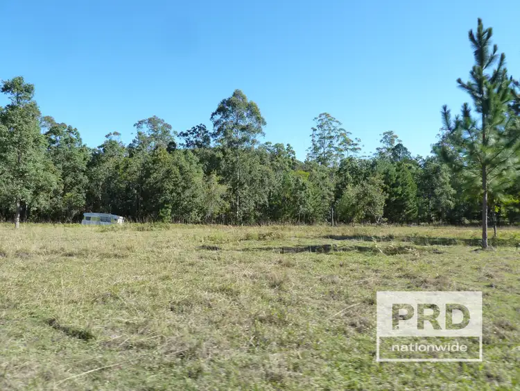 Fifth view of Homely rural property listing, 1411 Afterlee Road, Kyogle NSW 2474