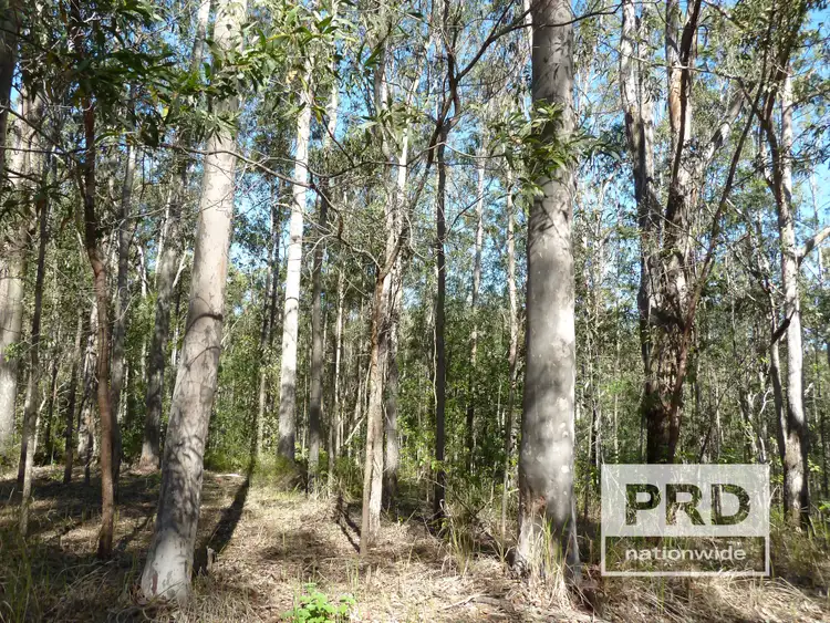 Seventh view of Homely rural property listing, 1411 Afterlee Road, Kyogle NSW 2474