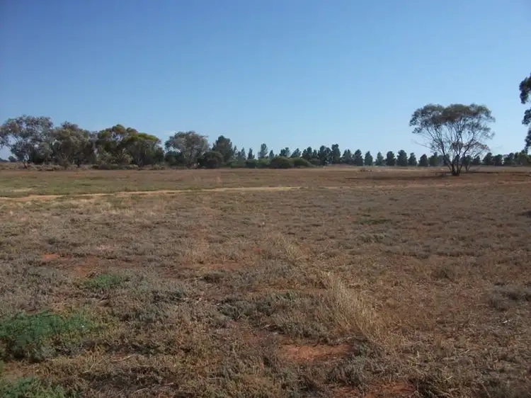 Lot 31  Caddy Road, Loveday SA 5345