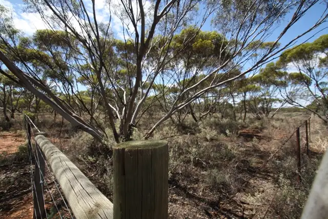 Third view of Homely land listing, LOT 2 STURT HIGHWAY KOM via, Barmera SA 5345