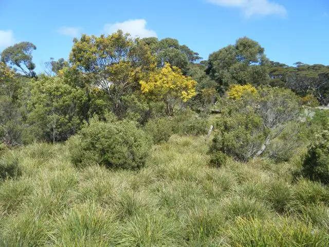 Third view of Homely land listing, 15 Coral Crescent, Island Beach SA 5222