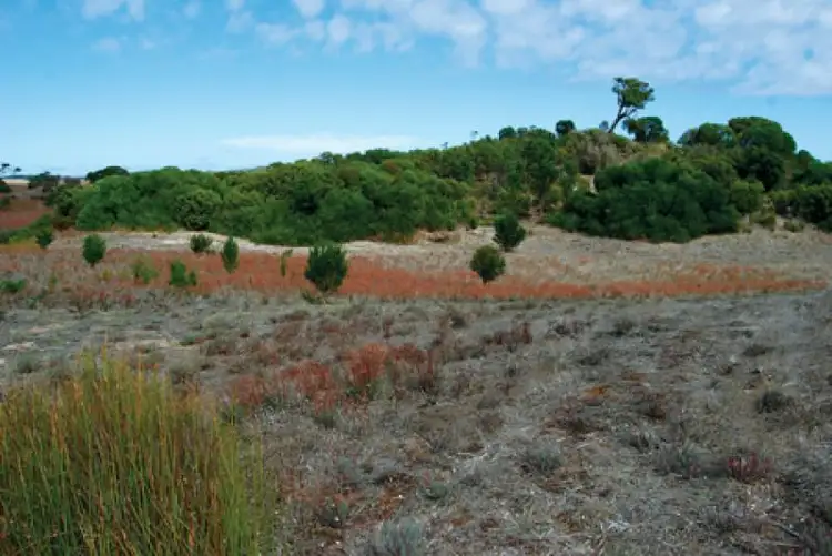 Fourth view of Homely land listing, Lot 107 Sweet Water Estate, Robe SA 5276