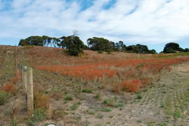 Lot 101 Sweet Water Estate, Robe SA 5276
