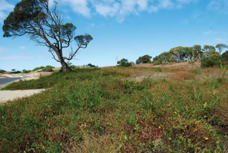 Third view of Homely land listing, Lot 101 Sweet Water Estate, Robe SA 5276