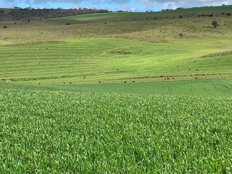 Second view of Homely rural property listing, Allotment 6 Hundred of Hutchison, Tumby Bay SA 5605