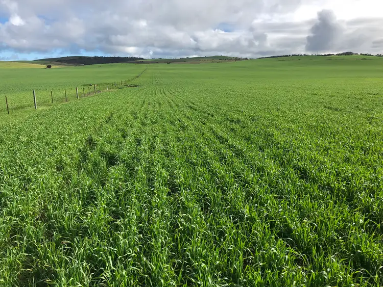 Third view of Homely rural property listing, Allotment 6 Hundred of Hutchison, Tumby Bay SA 5605