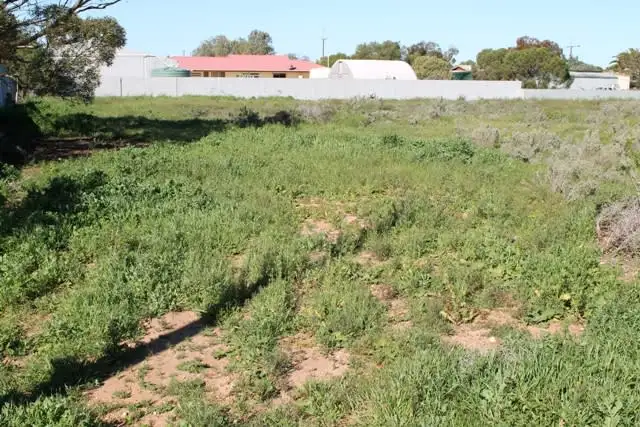 Main view of Homely land listing, 29-31 O'Connell Street, Cowell SA 5602