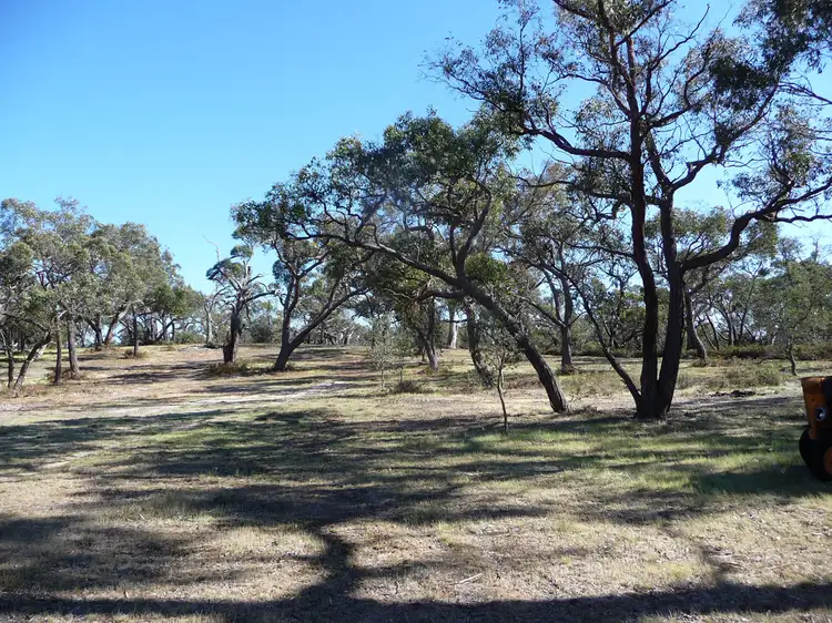 Main view of Homely rural property listing, 161 John McPhee's Drive, Toolondo, Toolondo VIC 3401