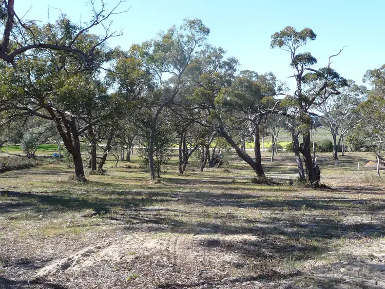Second view of Homely rural property listing, 161 John McPhee's Drive, Toolondo, Toolondo VIC 3401
