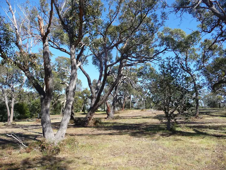 Fifth view of Homely rural property listing, 161 John McPhee's Drive, Toolondo, Toolondo VIC 3401
