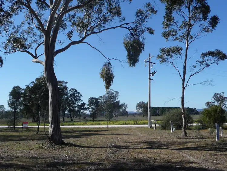 Sixth view of Homely rural property listing, 161 John McPhee's Drive, Toolondo, Toolondo VIC 3401