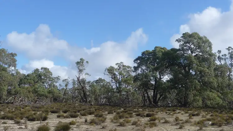 Sixth view of Homely rural property listing, 180 Camerons Road, Toolondo VIC 3401