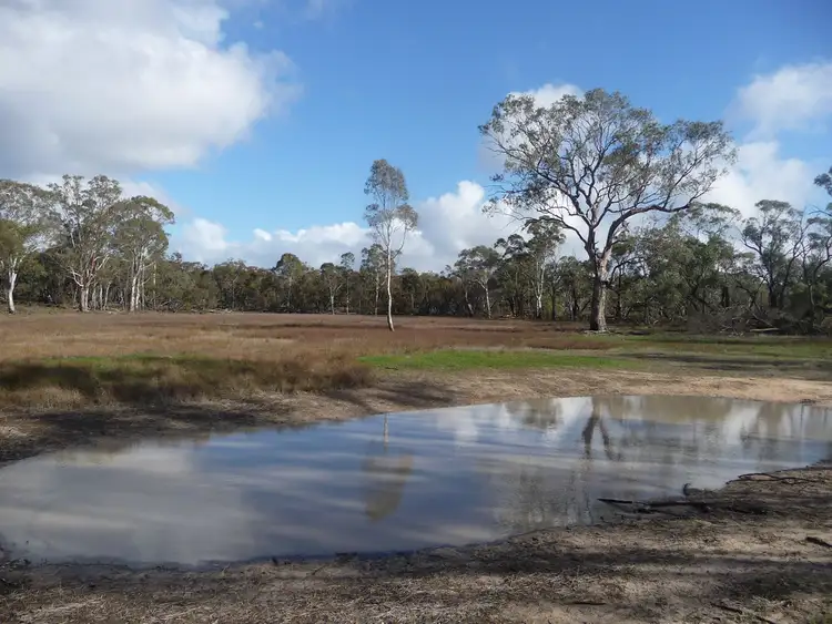 Seventh view of Homely rural property listing, 180 Camerons Road, Toolondo VIC 3401
