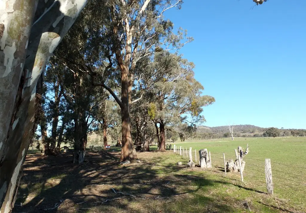 Main view of Homely rural property listing, CA 168 Harrisons Back Road, Moonambel VIC 3478