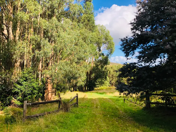 Second view of Homely rural property listing, 606 Woomera Creek Rd, Toora VIC 3962