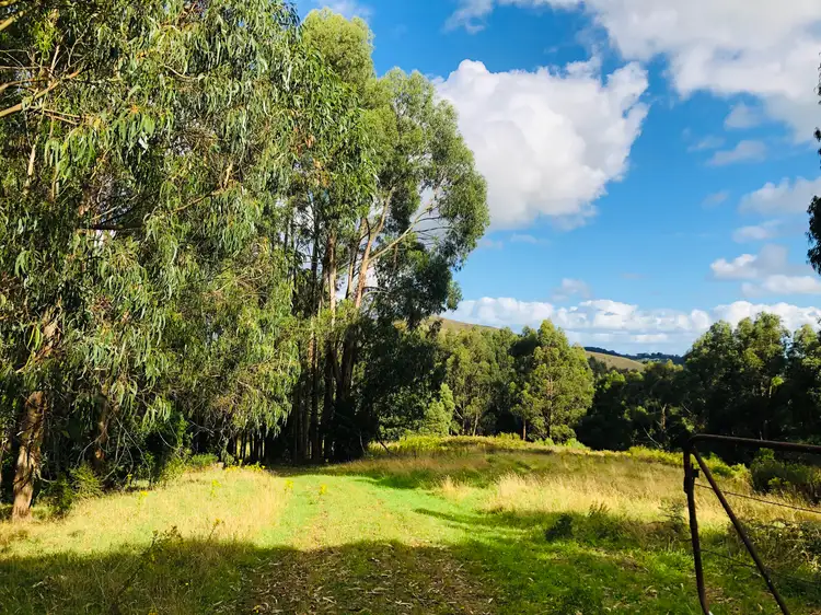 Third view of Homely rural property listing, 606 Woomera Creek Rd, Toora VIC 3962