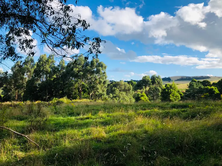Fourth view of Homely rural property listing, 606 Woomera Creek Rd, Toora VIC 3962